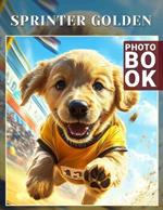 SprInter Golden Photo Book: A Stunning Collection Capturing The Essence Of Spring With 40 Vibrant Images