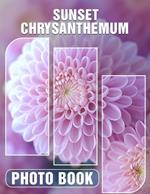 Sunset Chrysanthemum Photo Book: Vibrant Floral Imagery Featuring 40 Stunning Sunset-Inspired Chrysanthemums For Art Lovers