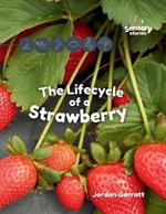 The Lifecycle of a Strawberry: A Sensory Story