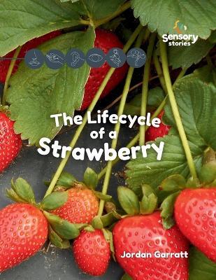 The Lifecycle of a Strawberry: A Sensory Story - Jordan Garratt - cover
