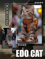 Edo Cat Photo Book: 40 Unique Illustrations of Charming Felines from Edo Period to Enjoy