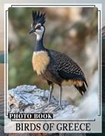 Birds of Greece Photo Book: Explore 40 Stunning Images Of Greece's Unique Avian Wildlife For Enthusiasts