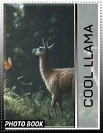 Cool Llama Photo Book: 40 Unique Images Celebrating The Charm And Quirkiness Of Llamas For Animal Lovers