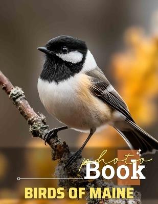 Birds of Maine Photo Book: Discover Stunning Avian Life Through 40 Captivating Images Of Maine's Feathered Residents - Raheem Drake - cover