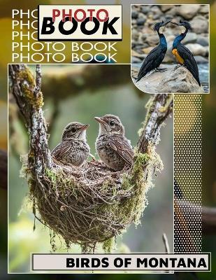 Birds of Montana Photo Book: Explore 40 Stunning Images Showcasing Montana's Unique Avian Wildlife For Nature Enthusiasts - Raheem Drake - cover