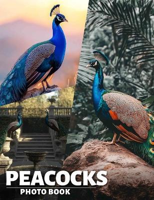 Peacocks Photo Book: Vibrant Displays Of Elegance Captured In 40 Stunning Images For Art Enthusiasts - Amna Valencia - cover