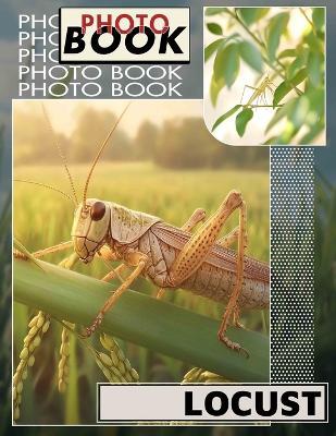 Locust Photo Book: Exploring 40 Intriguing Images Of Locusts For Nature Enthusiasts And Insect Lovers - Sapphire Pearce - cover