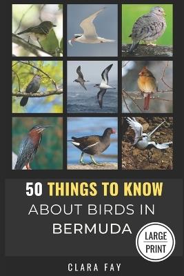 50 Things to Know About Birds in Bermuda Large Print: Birding in a Sub-tropical Paradise - 50 Things to Know,Clara Fay - cover
