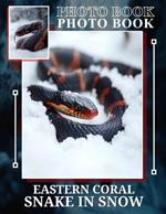 Eastern Coral Snake In Snow Photo Book: Stunning 40-Image Collection Of Eastern Coral Snakes Amidst Winter Landscapes