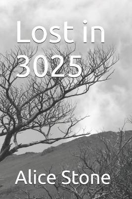 Lost in 3025 - Alice Stone - cover