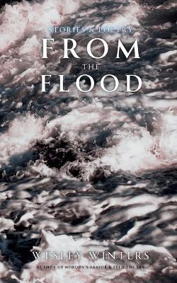 From the Flood: Short Fiction and Poetry - Wintry Monsters Press,Wesley Winters - cover