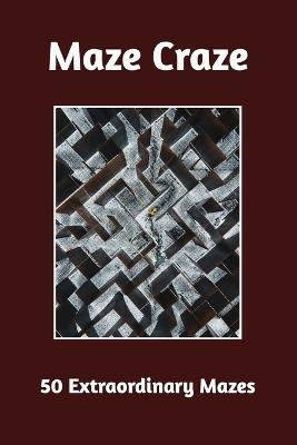 Maze Craze 50 Extraordinary Mazes: 6 x 9 inches book, solutions included - Pr Puzzler - cover