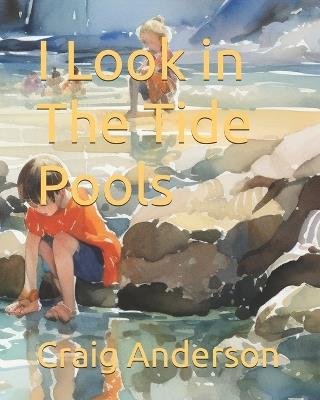 I Look in The Tide Pools - Craig Anderson - cover