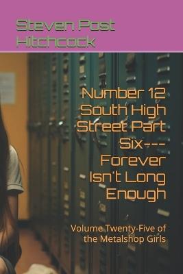Number 12 South High Street Part Six---Forever Isn't Long Enough: Volume Twenty-Five of the Metalshop Girls - Steven Post Hitchcock - cover