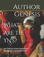 What Are the YN's?: The Chilling Threat Endangering Our Children and Communities