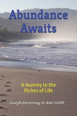 Abundance Awaits: A Journey to the Riches of Life - Joseph Meyering Aas Sudp - cover