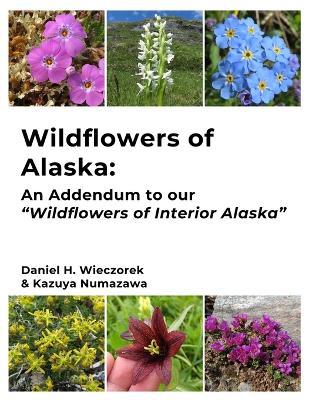Wildflowers of Alaska: An Addendum to our "Wildflowers of Interior Alaska" - Daniel H Wieczorek - cover