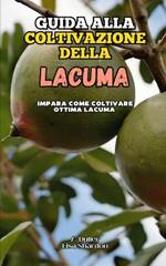 Guida alla coltivazione della Lacuma