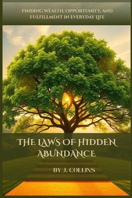 The Laws of Hidden Abundance: Finding Wealth, Opportunity, and Fulfillment in Everyday Life - J Collins - cover