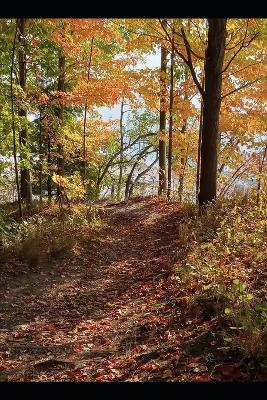 Why Kindness Is Not Random: A Guide to Nurturing Altruism - Katharina Manassis - cover