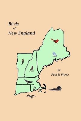 Birds of New England - Paul St Pierre - cover