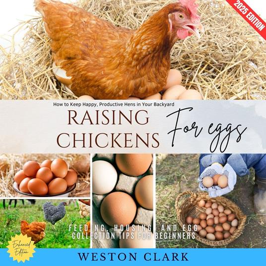 Raising Chickens for Eggs: