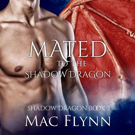 Mated to the Shadow Dragon: Shadow Dragon Book 2 (Dragon Shifter Romance)