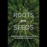 Roots and Seeds: Cultivating Native Grasses for a Sustainable Landscape