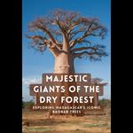 Majestic Giants of the Dry Forest: Exploring Madagascar's Iconic Baobab Trees