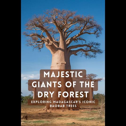 Majestic Giants of the Dry Forest: Exploring Madagascar's Iconic Baobab Trees