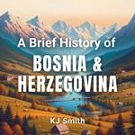 Brief History of Bosnia and Herzegovina, A
