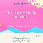 Till Summer Do Us Part by Meghan Quin Audiobook Summary