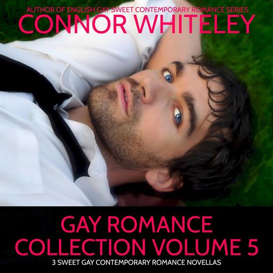 Gay Romance Collection Volume 5