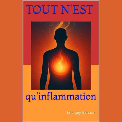 Tout n'est qu'inflammation: Comprendre le messager de la vie