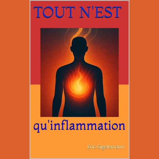 Tout n'est qu'inflammation: Comprendre le messager de la vie