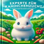 Experte für Kaninchenzucht