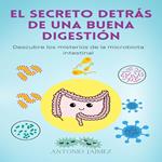 El Secreto Detrás De Una Buena Digestión