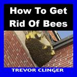 How To Get Rid Of Bees