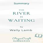 River Is Waiting by Wally Lamb Audiobook Summary, The