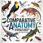 Comparative Anatomy