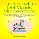 Las Maravillas Del Mundo Microscópico
