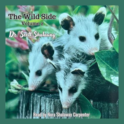 Wild Side, Volume 2, The