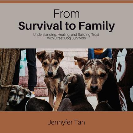 From Survival to Family: Understanding, Healing, and Building Trust with Street Dog Survivors