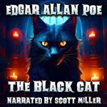 Black Cat, The