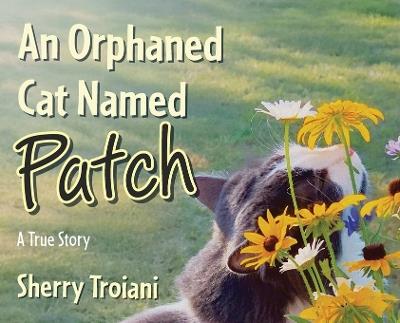 An Orphaned Cat Named Patch: A True Story - Sherry Troiani - cover
