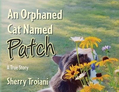 An Orphaned Cat Named Patch: A True Story - Sherry Troiani - cover