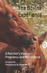 The Bovine Experience: A Rancher's View on Pregnancy and Motherhood