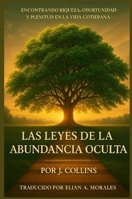 Las Leyes de la Abundancia Oculta: Encontrando Riqueza, Oportunidad y Plenitud en la Vida Cotidiana - J Collins - cover