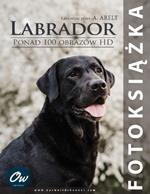 Labrador: Fotoksiazka