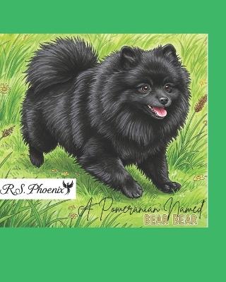 A Pomeranian Named Bear Bear - Rasheeda Sheereen Phoenix - cover
